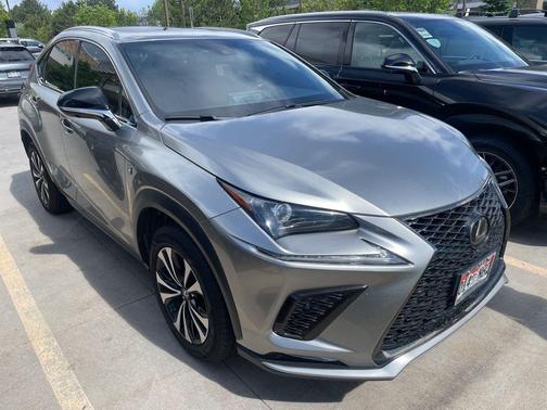 Nebula Gray Pearl 2020 Lexus NX 300 F Sport