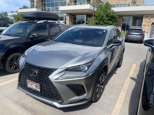 Nebula Gray Pearl 2020 Lexus NX 300 F Sport