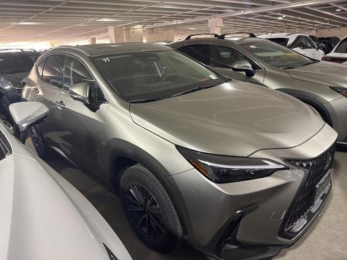 2025 Lexus NX 350h Premium