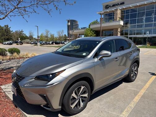 Nebula Gray Pearl 2018 Lexus NX 300 Base