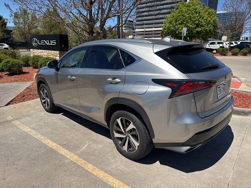 Nebula Gray Pearl 2018 Lexus NX 300 Base