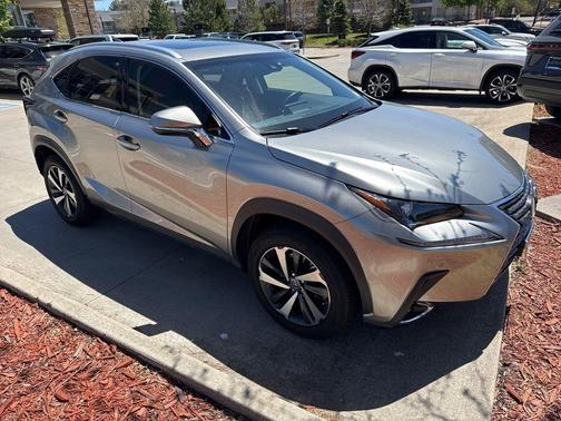 Nebula Gray Pearl 2018 Lexus NX 300 Base