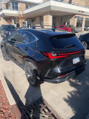 2025 Lexus NX 350h Premium