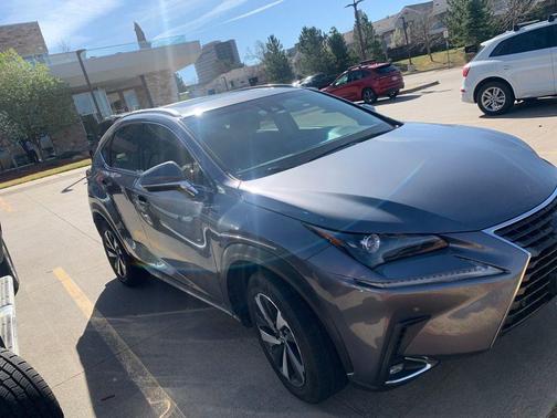 Nebula Gray Pearl 2018 Lexus NX 300 Base