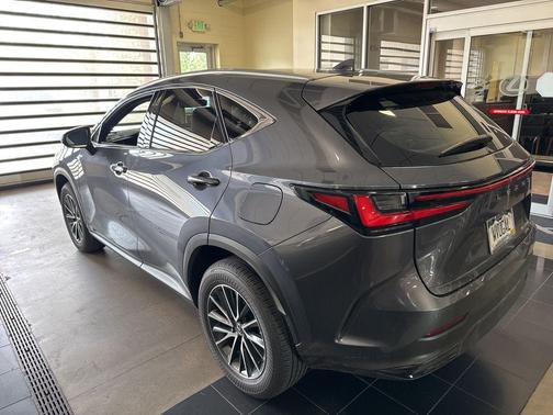 Cloudburst Gray 2024 Lexus NX 350h Premium