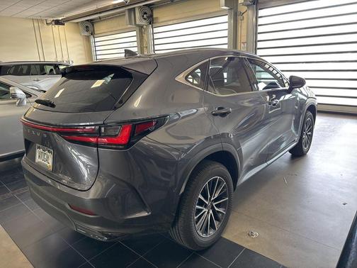 Cloudburst Gray 2024 Lexus NX 350h Premium