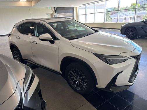 Pear 2025 Lexus NX 350 Premium