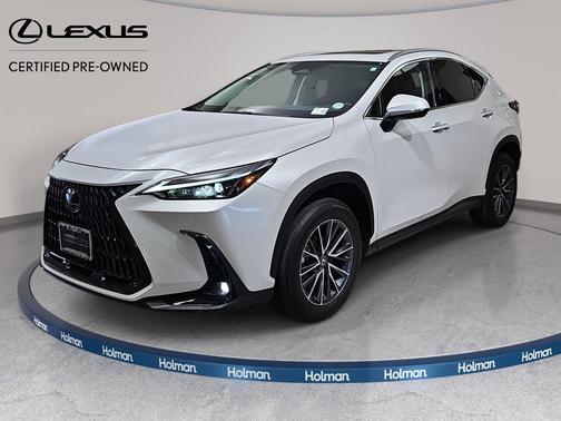 Pear 2025 Lexus NX 350 Premium