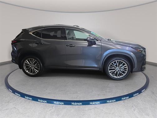 2025 Lexus NX 350 Luxury