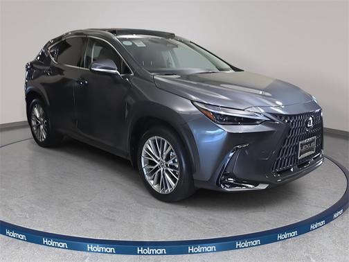 2025 Lexus NX 350 Luxury