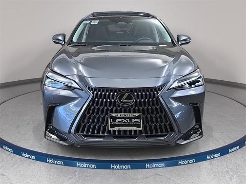 2025 Lexus NX 350 Luxury