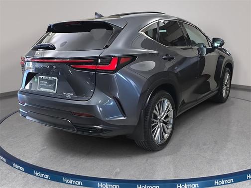 2025 Lexus NX 350 Luxury