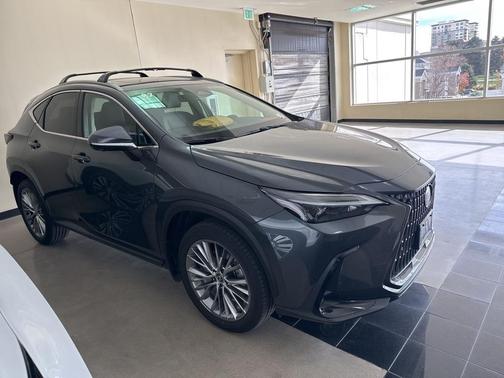 2025 Lexus NX 350 Premium