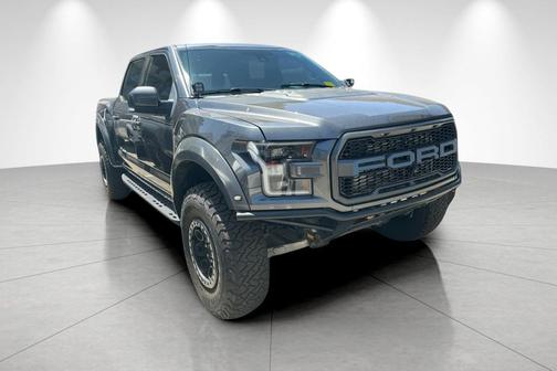 Magnetic 2017 Ford F-150 Raptor