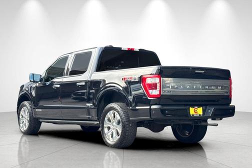 Agate Black Metallic 2021 Ford F-150 Platinum