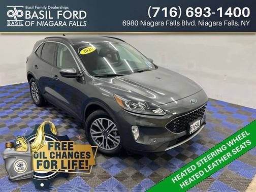 Magnetic 2020 Ford Escape SEL