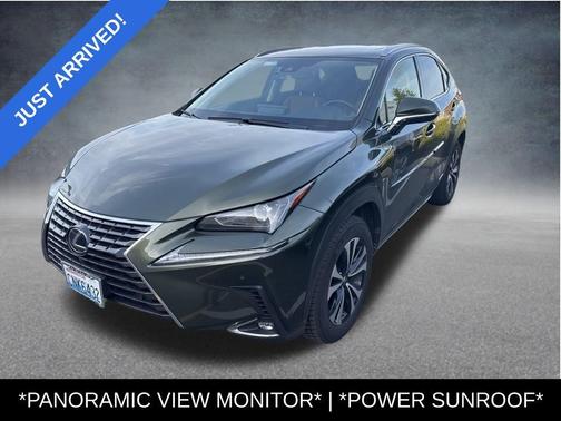 2021 Lexus NX 300h 300H