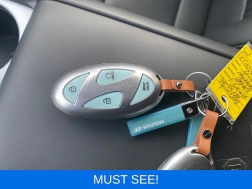 2026 Hyundai IONIQ 9 Performance Calligraphy