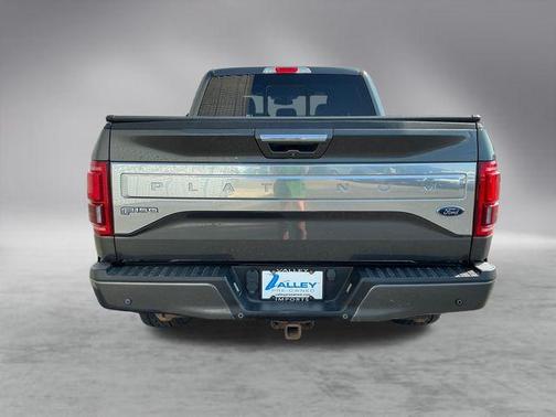Magnetic 2016 Ford F-150 Platinum