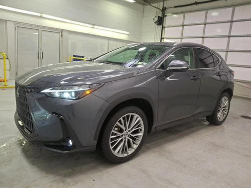 2025 Lexus NX 350 350 Premium