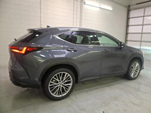 2025 Lexus NX 350 350 Premium