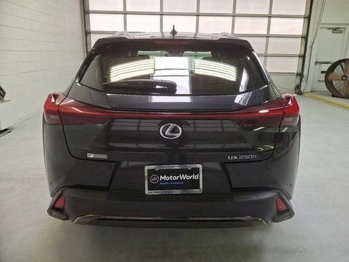 2019 Lexus UX 250h F Sport