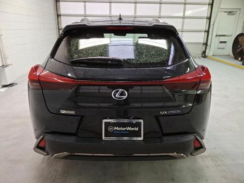2020 Lexus UX 250h F Sport