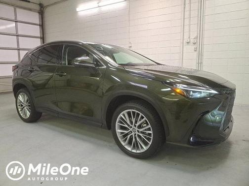 2025 Lexus NX 350 350 Premium
