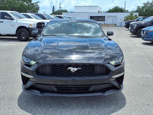 2019 Ford Mustang EcoBoost