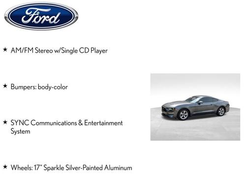 Magnetic 2018 Ford Mustang EcoBoost
