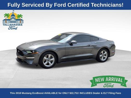 Magnetic 2018 Ford Mustang EcoBoost