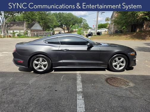 Magnetic 2018 Ford Mustang EcoBoost