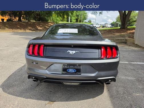 Magnetic 2018 Ford Mustang EcoBoost