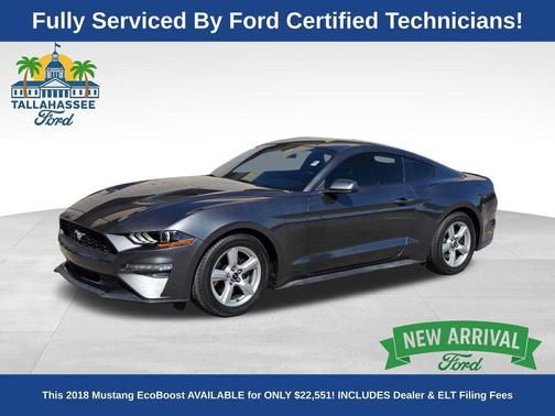 Magnetic 2018 Ford Mustang EcoBoost