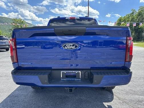 Argon 2026 Ford F-150 STX