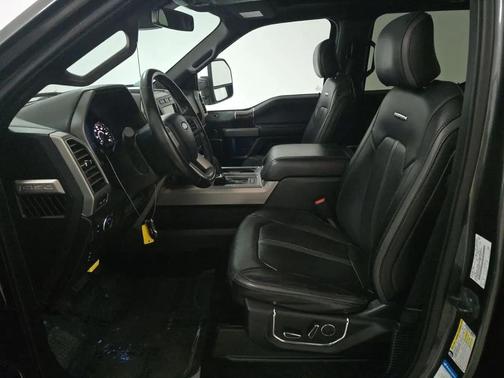 Magnetic Metallic 2017 Ford F-150 Platinum