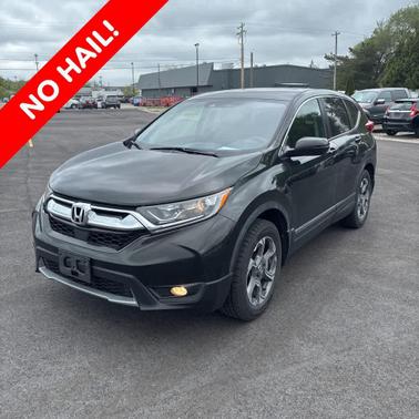 Dark Olive Metallic 2019 Honda CR-V EX