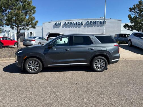 Steel Graphite 2023 Hyundai PALISADE SEL