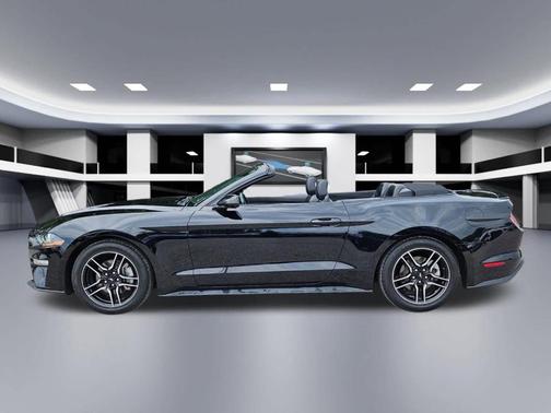Shadow Black 2023 Ford Mustang EcoBoost Premium