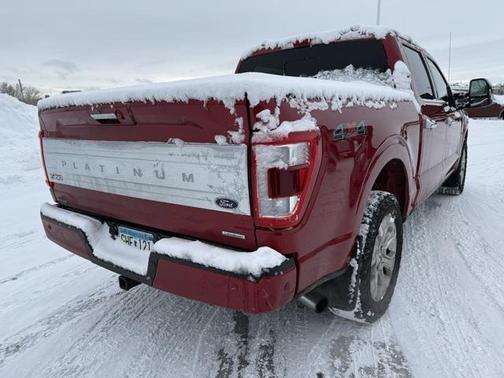 2021 Ford F-150 Platinum