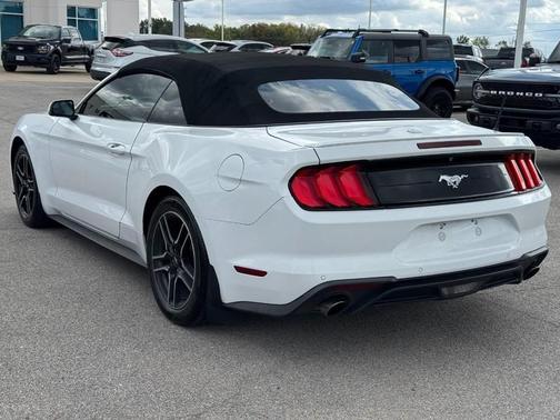 Oxford White 2019 Ford Mustang