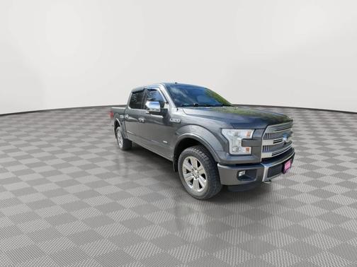 Magnetic Metallic 2016 Ford F-150 Platinum