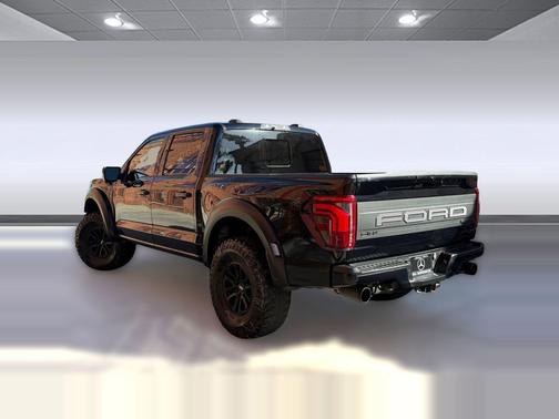 AGATE BLACK METALLIC 2024 Ford F-150 Raptor