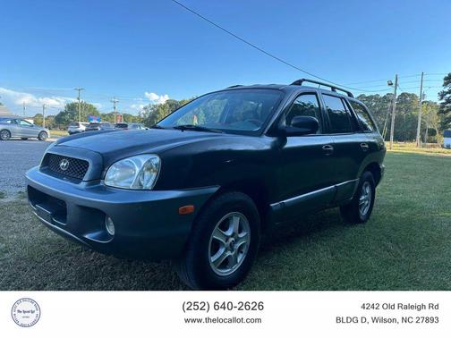 Black Obsidian/Cool Gray Cladding 2004 Hyundai SANTA FE GLS