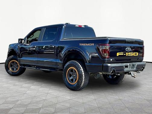 Antimatter Blue Metallic 2021 Ford F-150 Tremor