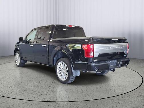 Agate Black Metallic 2019 Ford F-150 Limited