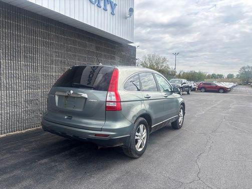 Opal Sage Metallic 2010 Honda CR-V EX-L