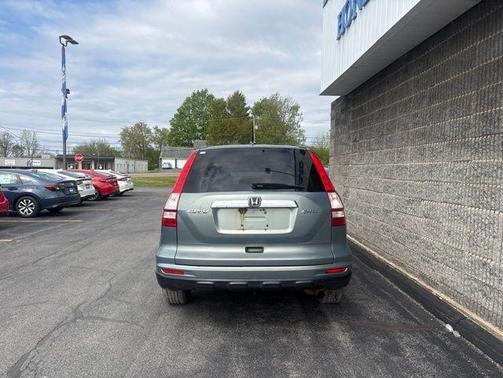 Opal Sage Metallic 2010 Honda CR-V EX-L