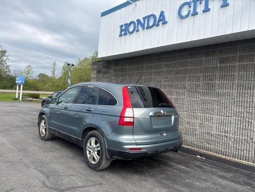 Opal Sage Metallic 2010 Honda CR-V EX-L
