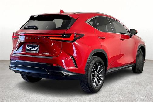 2024 Lexus NX 250 Premium
